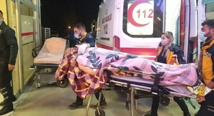 Ağaçtan düşerek yaralandı