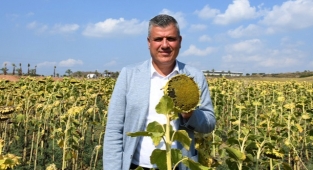 Barut: Ayçiçeğinde kendimize yeteriz
