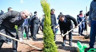 Başkan Uludağ fidan dikti