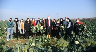 Kadınlar için yapılan çalışmalara BM’den övgü
