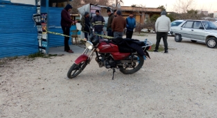 Kuş tartışması: 1 yaralı