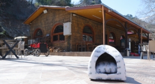 Pozantı’ya kedi evleri yerleştirildi