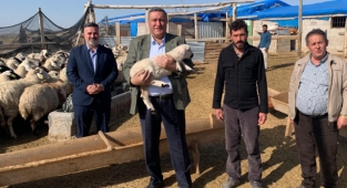 Besici icra kıskacıyla karşı karşıya