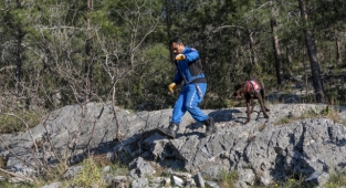 Kaybolan alzaymır hastası aranıyor