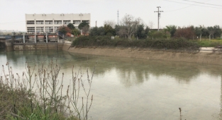 Kayıp kişi sulama kanalında ölü bulundu
