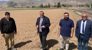 Patates kanseri toprağı bozuyor