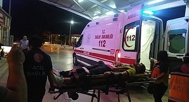 Adana'da direğe çarpan araçtaki 2 kişi yaralandı