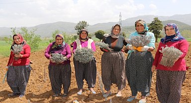 Kadın girişimcilere lavanta desteği