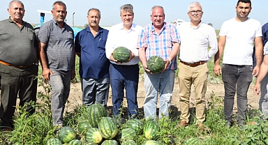 Karpuzda tehlike çanları çalıyor