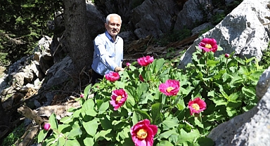 Koruma altındaki
