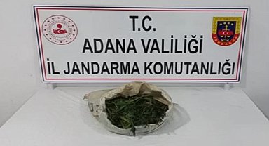 Orman arazisinde kenevir yetiştiren iki zanlı yakalandı
