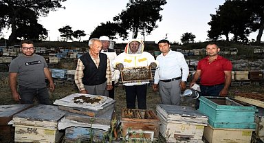 Vali limon topladı, bal hasadı yaptı