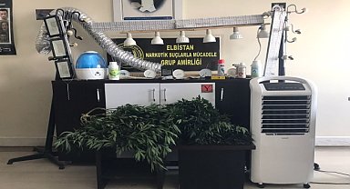 Banyoda Hint keneviri yetiştiren zanlı tutuklandı
