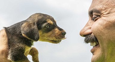 Çukura düşen köpek yavrusunu itfaiye ekipleri kurtardı