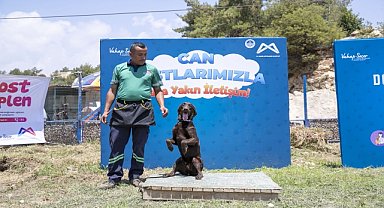Köpek Eğitim Alanı oluşturuldu