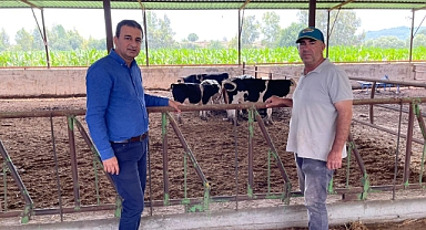 Kurbanlıkların fiyatı 2 katına çıktı