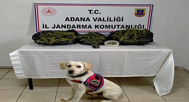 Uyuşturucu operasyonlarında 4 zanlı tutuklandı