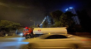 Yanan ağaç itfaiye ekiplerince söndürüldü