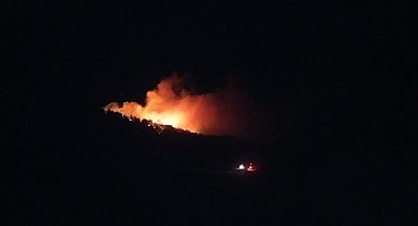 Adana'da çıkan orman yangınına müdahale ediliyor
