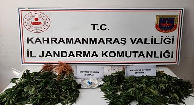 Bahçesinde Hint keneviri yetiştiren şüpheli yakalandı