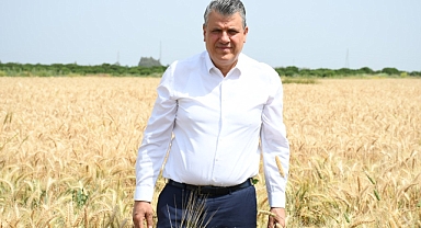 Buğday ekim alanı 24 milyon dekar azaldı