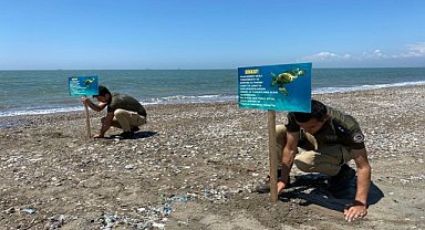 Caretta carettaların yuva yaptığı sahile uyarı levhaları