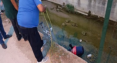 Dere yatağına düşen oğlak kurtarıldı