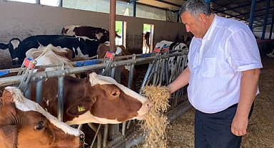 Hayvancılık kan kaybediyor