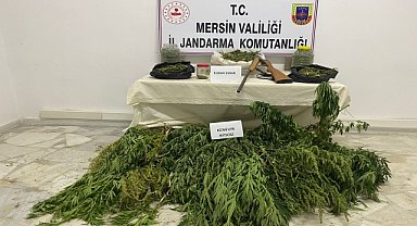 Hint keneviri yetiştirdiği iddia edilen zanlı tutuklandı