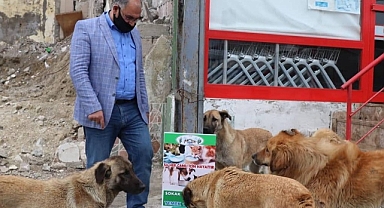 Köpek maması saadet zinciri kurmuşlar!