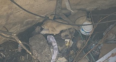 Kuyuya düşen köpek yavrusu kurtarıldı
