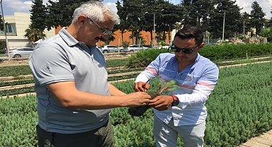Orman Bölge Müdürü fidanlıkları ziyaret etti