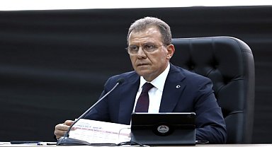 Seçer, kentin simge ağacına zarar verenleri kınadı