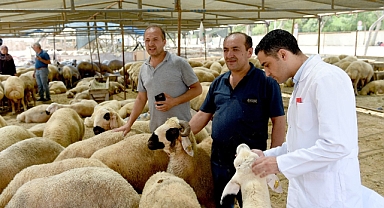 Seyhan’dan “ücretsiz kurban kesim” hizmeti