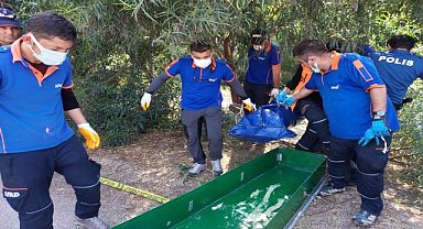 Aranan alzaymır hastası kadın ölü bulundu