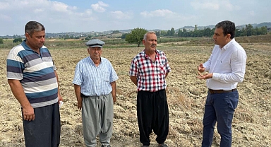 Çukurova çiftçisi, tarımdan kopuyor