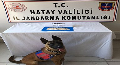 Otomobilinde uyuşturucu bulunan şüpheli gözaltına alındı