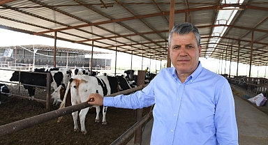 Üreticiler damızlık hayvanlarını kestiriyor