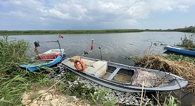 Balık ölümlerinin sebebi "yetersiz oksijen"