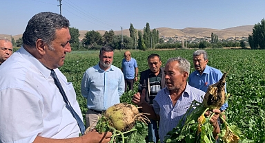 Çiftçi pancar hasadında iktidar şeker ithalatında