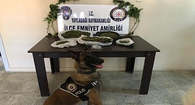 Evinde uyuşturucu bulunan şüpheli yakalandı