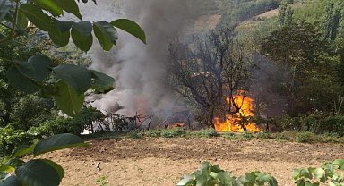 Orman yangını kontrol altına alındı