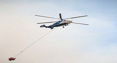 Orman yangını kontrol altına alındı
