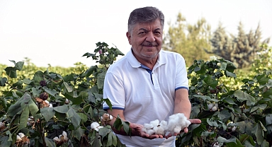 Pamuk fiyatı en az 22 TL olmalı