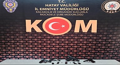 Silah kaçakçılığı operasyonunda 2 şüpheli yakalandı