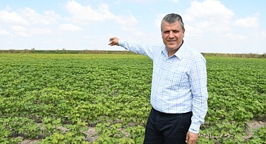 Soya üretimi ve çiftçiye destek verin