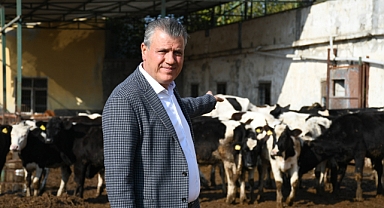 Süt fiyatı maliyetin altında