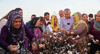 Türkan Pamuğu’nu isim sahibi hasat etti