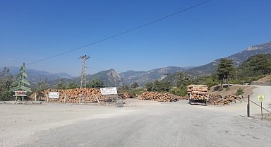 Üzerine tomruk devrilen işçi öldü
