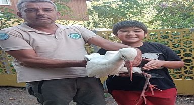 Yaralı leylek tedavisinin ardından doğaya bırakıldı